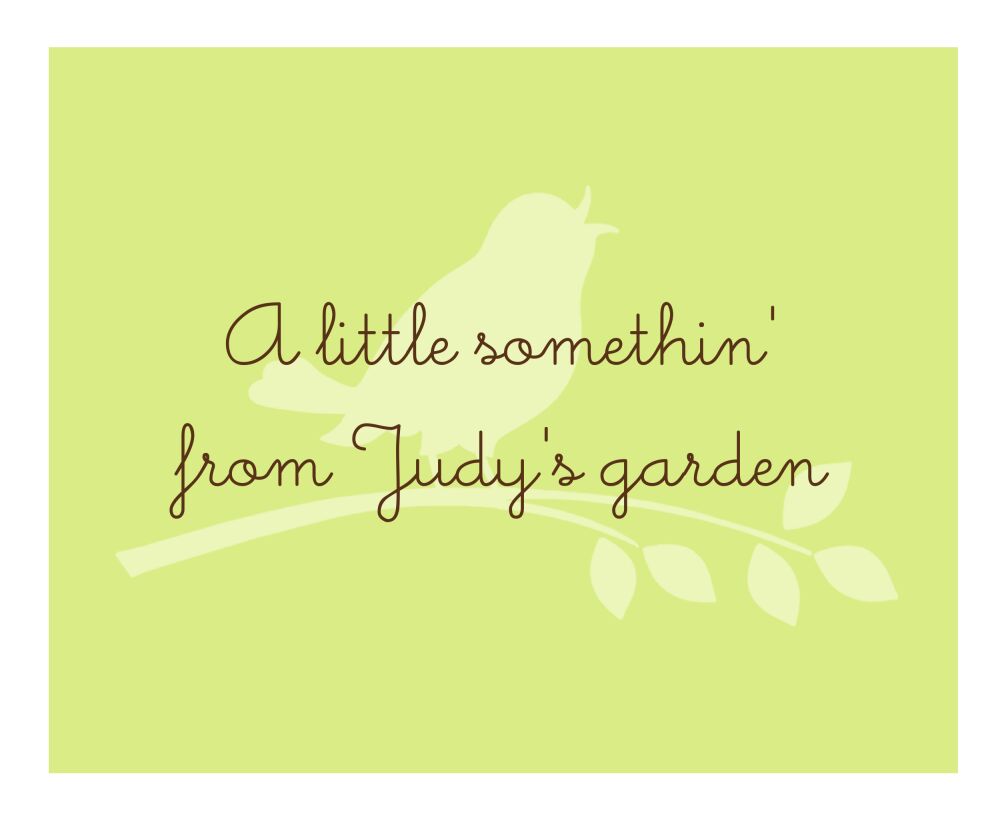 Songbird Calling Card