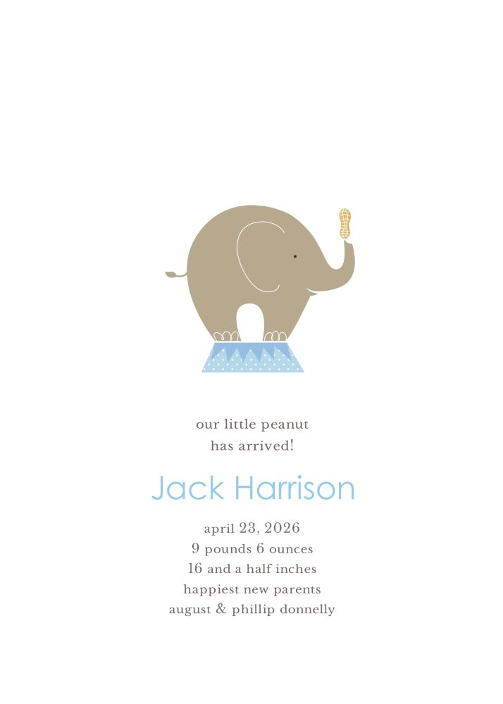Our Little Peanut Blue Boy Birth Announcement