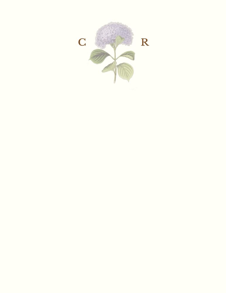 Hydrangea Bloom Flat Notecard on White Eggshell (cream)