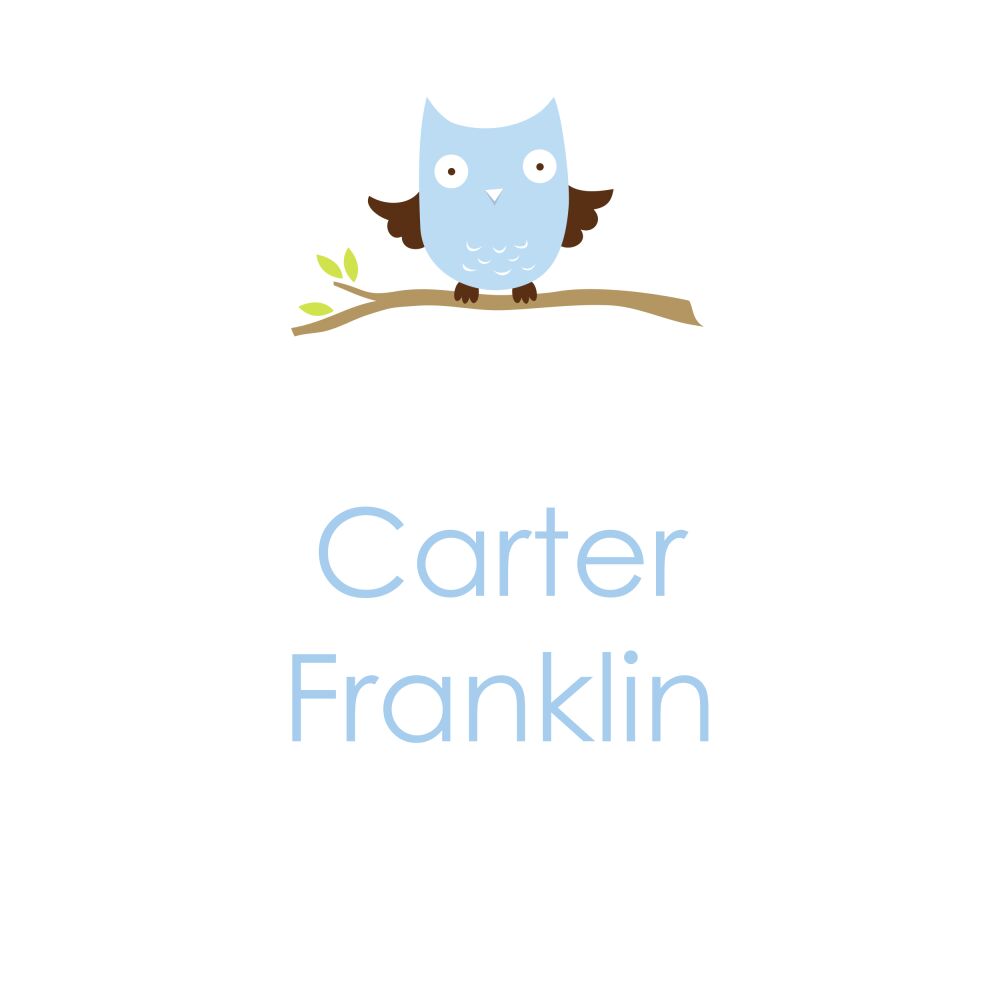 Baby Owl Blue Folded Enclosure Card 