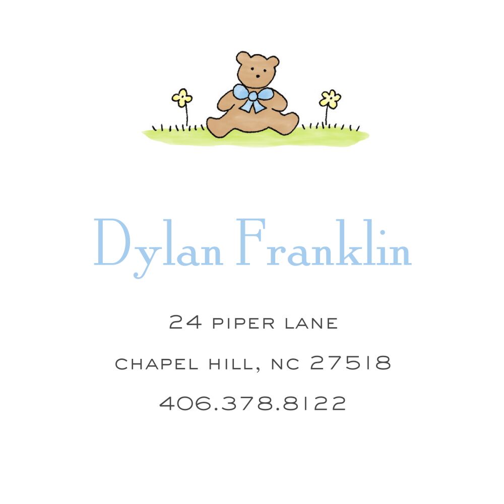 Teddy Bear - Blue Folded Enclosure Card 