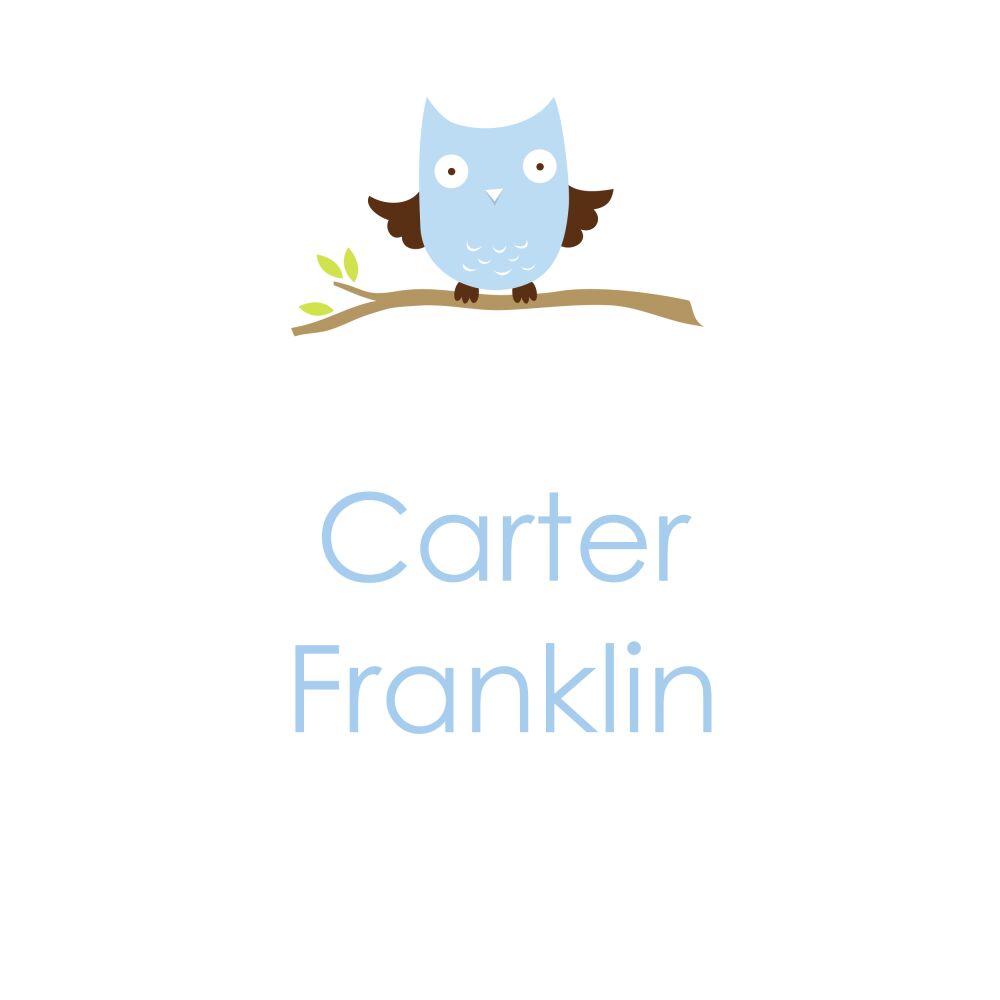 Baby Owl Blue Enclosure Card
