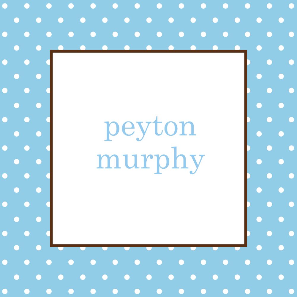 Little Brother Sticker 