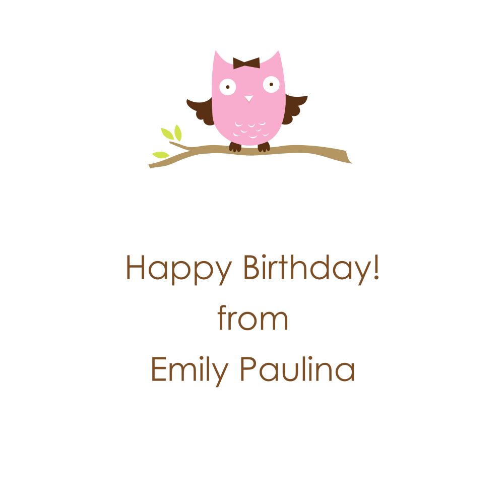 Baby Owl Folded Enclosure Card 