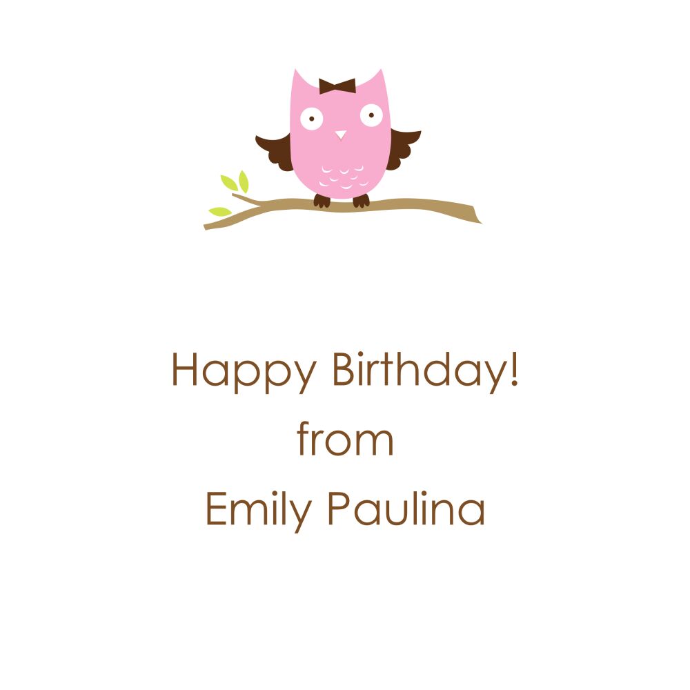 Baby Owl Enclosure Card