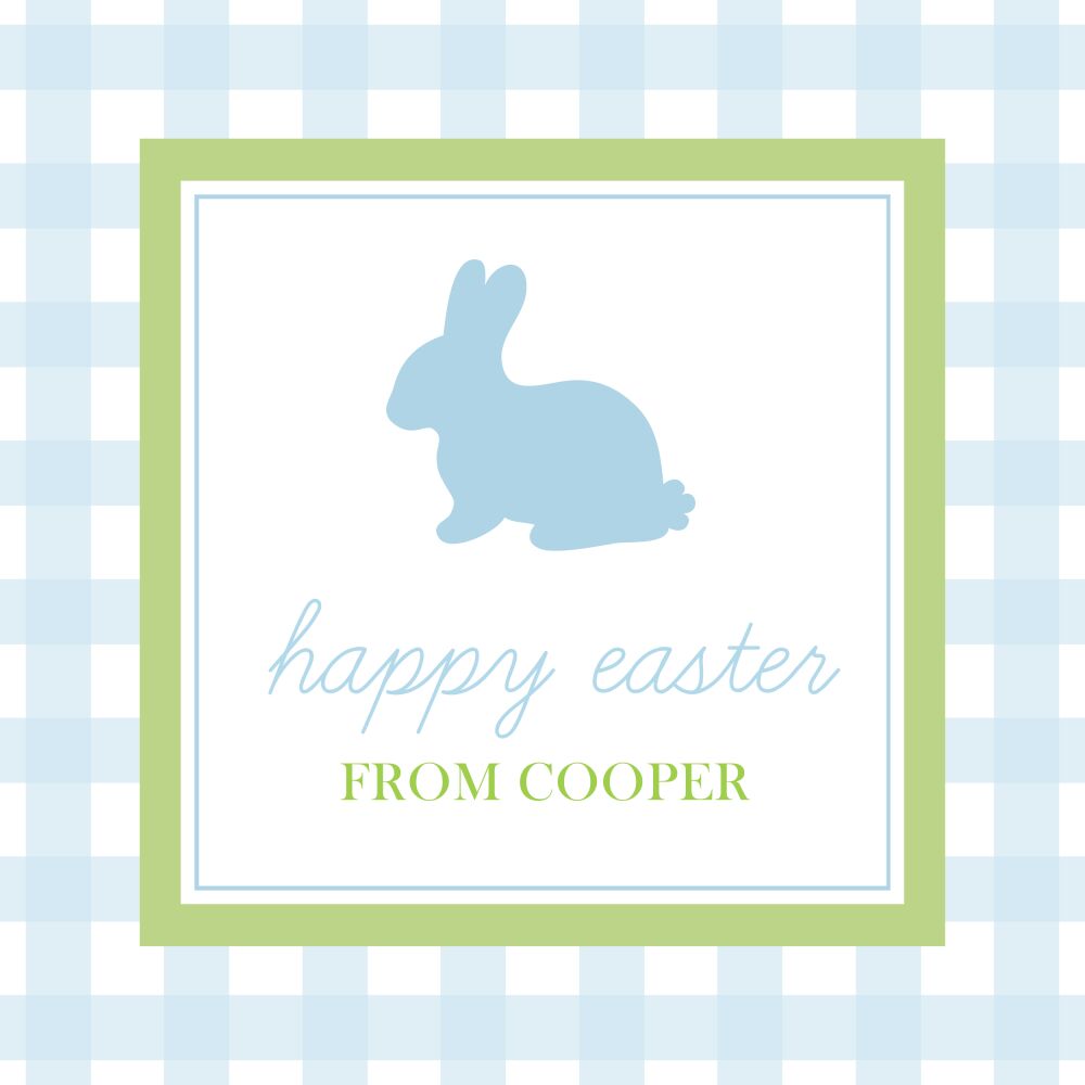Gingham Bunny Silhouette Border Enclosure Card