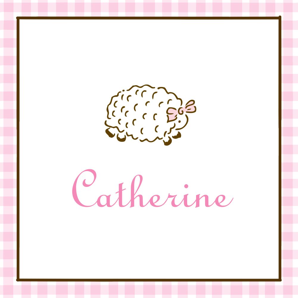 Gingham Edge Baby Pink Enclosure Card