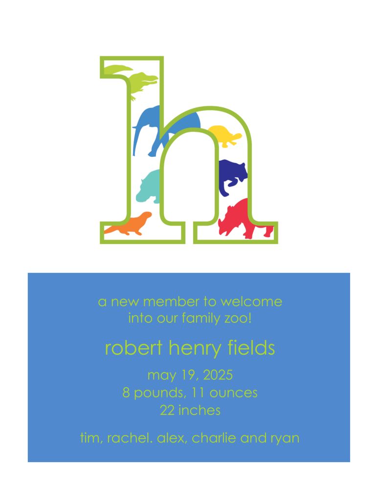 Big Letter Zoo Boy Birth Announcement