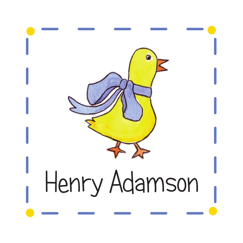 Duckling In Blue Enclosure Card