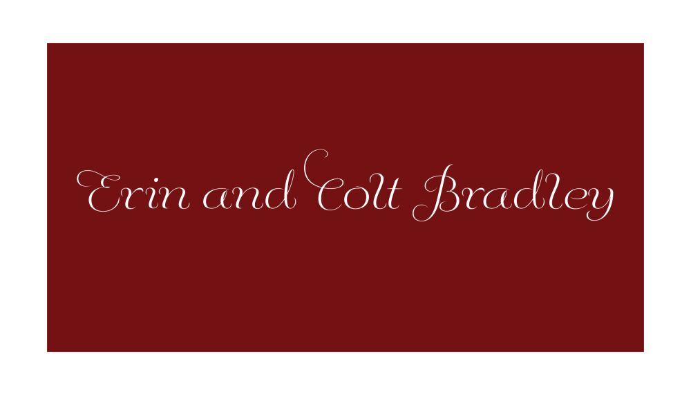 Burgundy and White Simple Enclosure Card