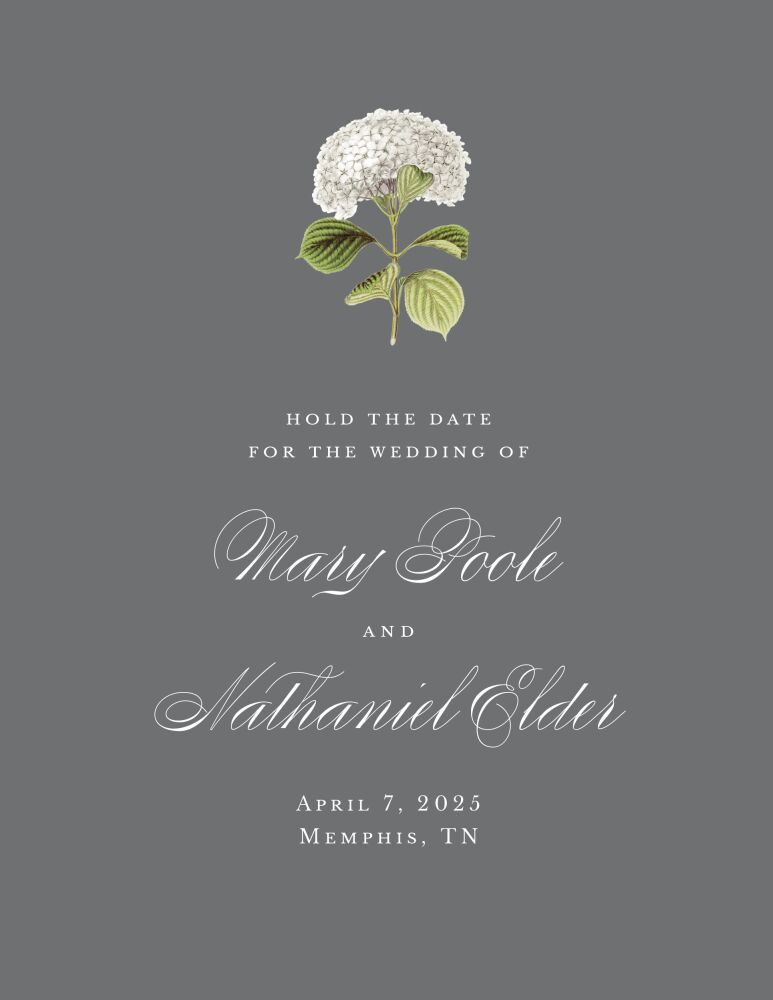 Modern Hydrangea Save the Date