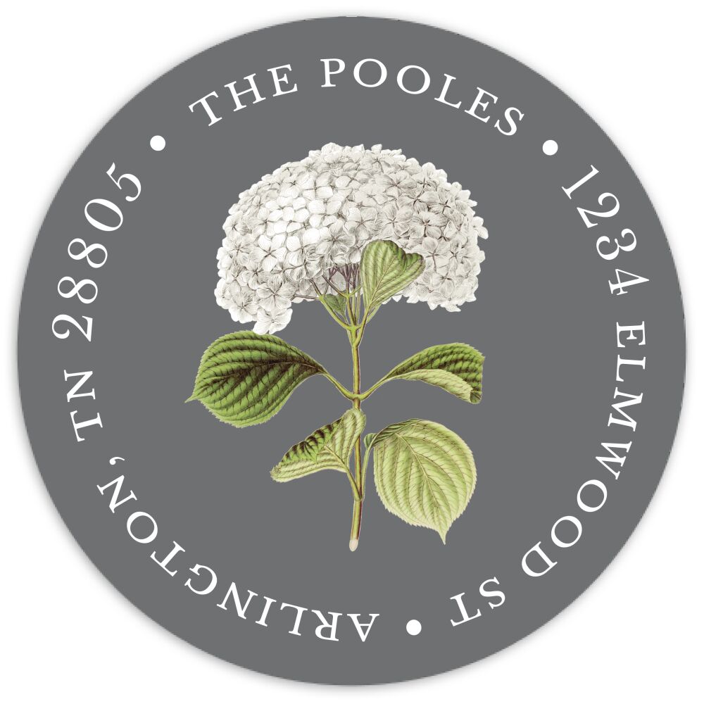 Modern Hydrangea Sticky