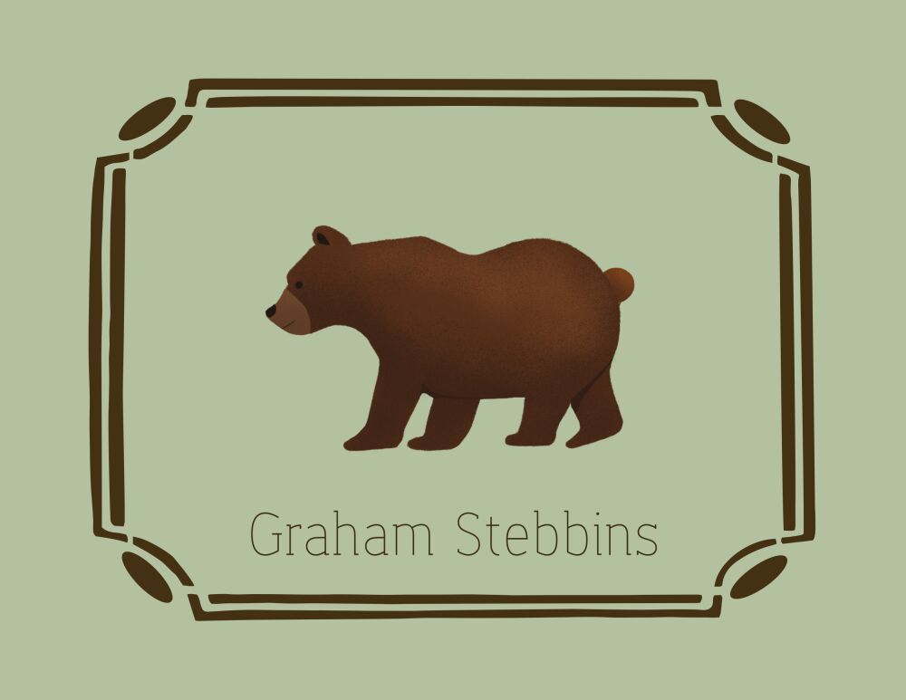 Baby Bear Folded Note